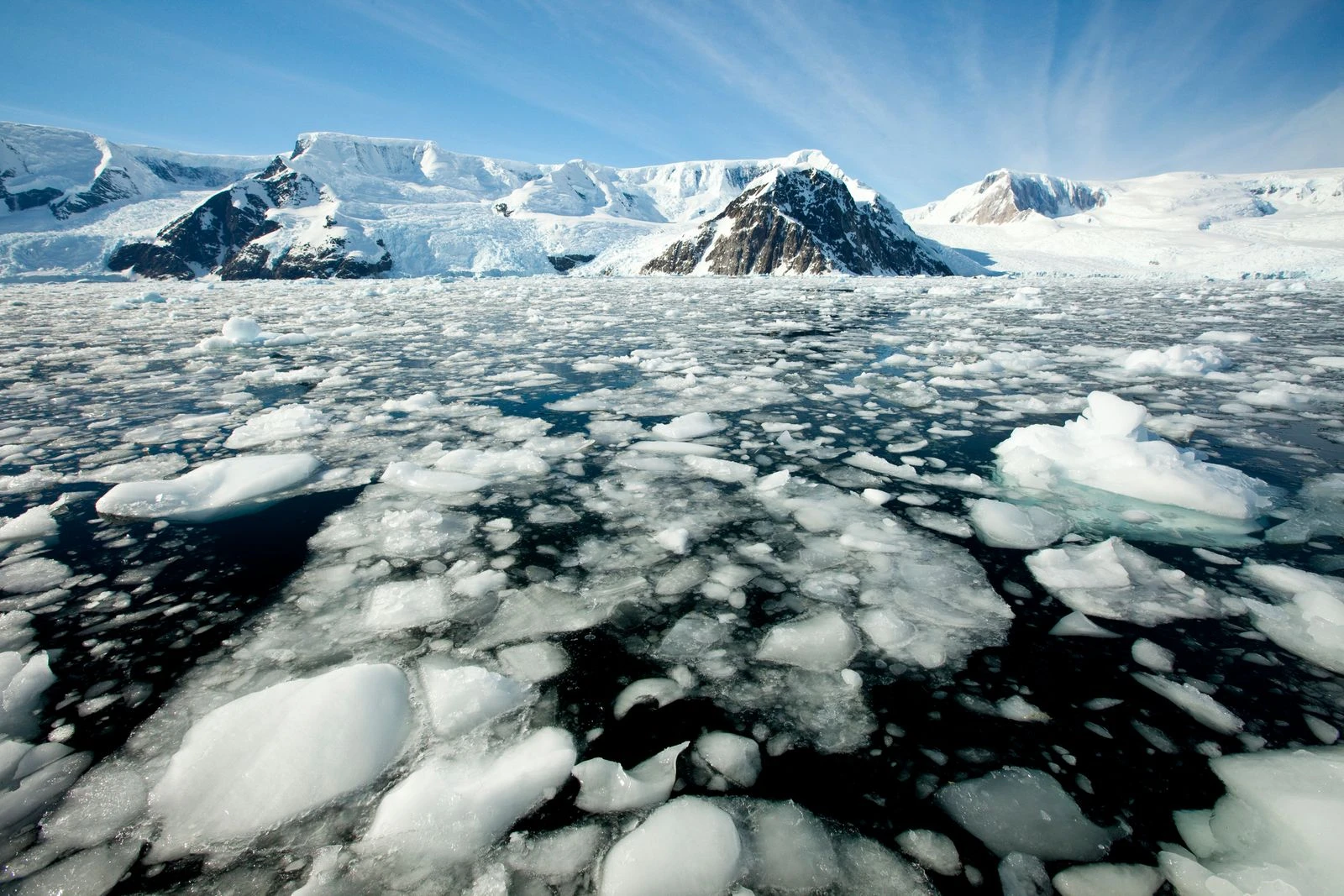 Antarctica Is Changing Rapidly. The Consequences Could Be Dire